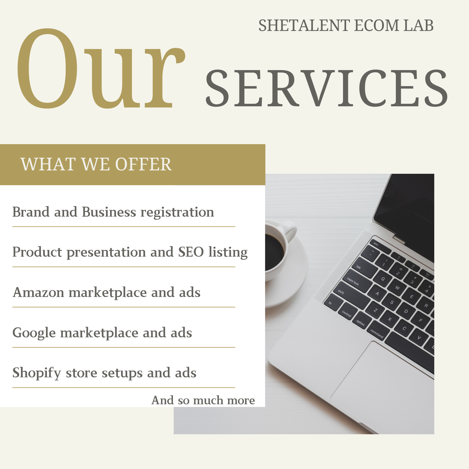 What We Offer